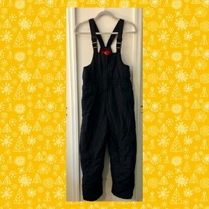 Snowsuit Overalls Women’s Large Faded Glory 10/12